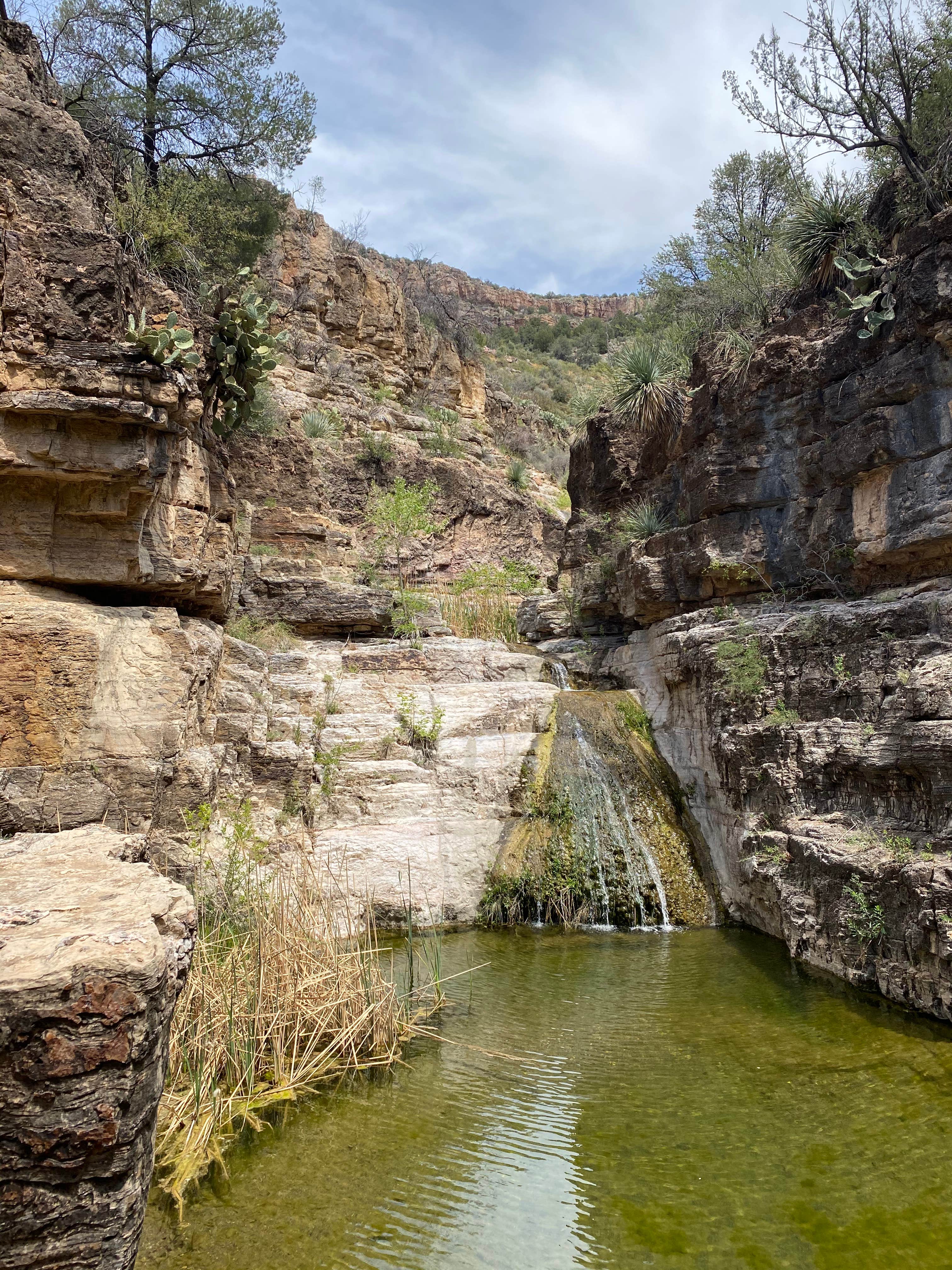 Camping near Salt River Canyon - Apache Tribe: Ash Creek Canyon, Cibecue, Arizona