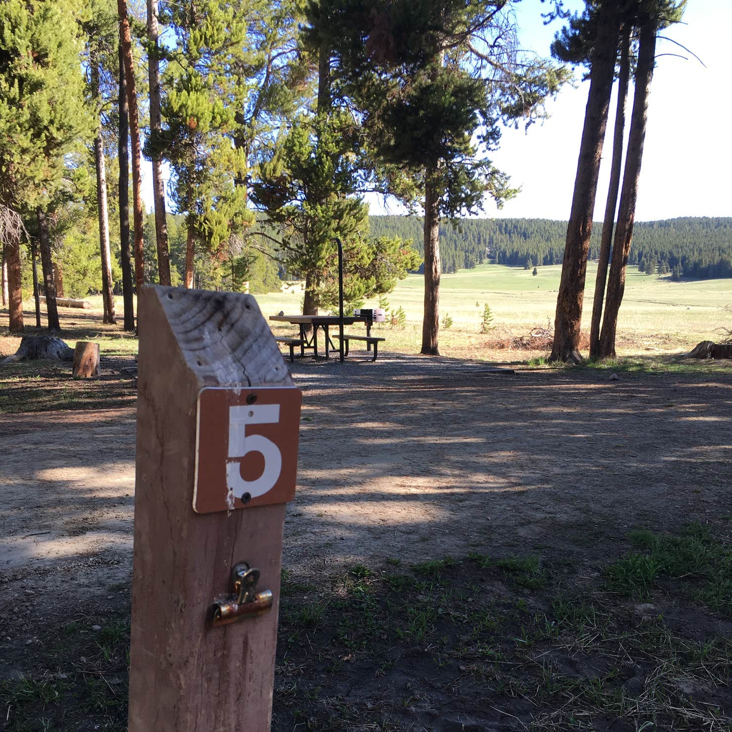 Bighorn National Forest Sitting Bull Campground Camping The Dyrt