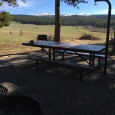 Review photo of Bighorn National Forest Sitting Bull Campground by Annie C., August 1, 2019