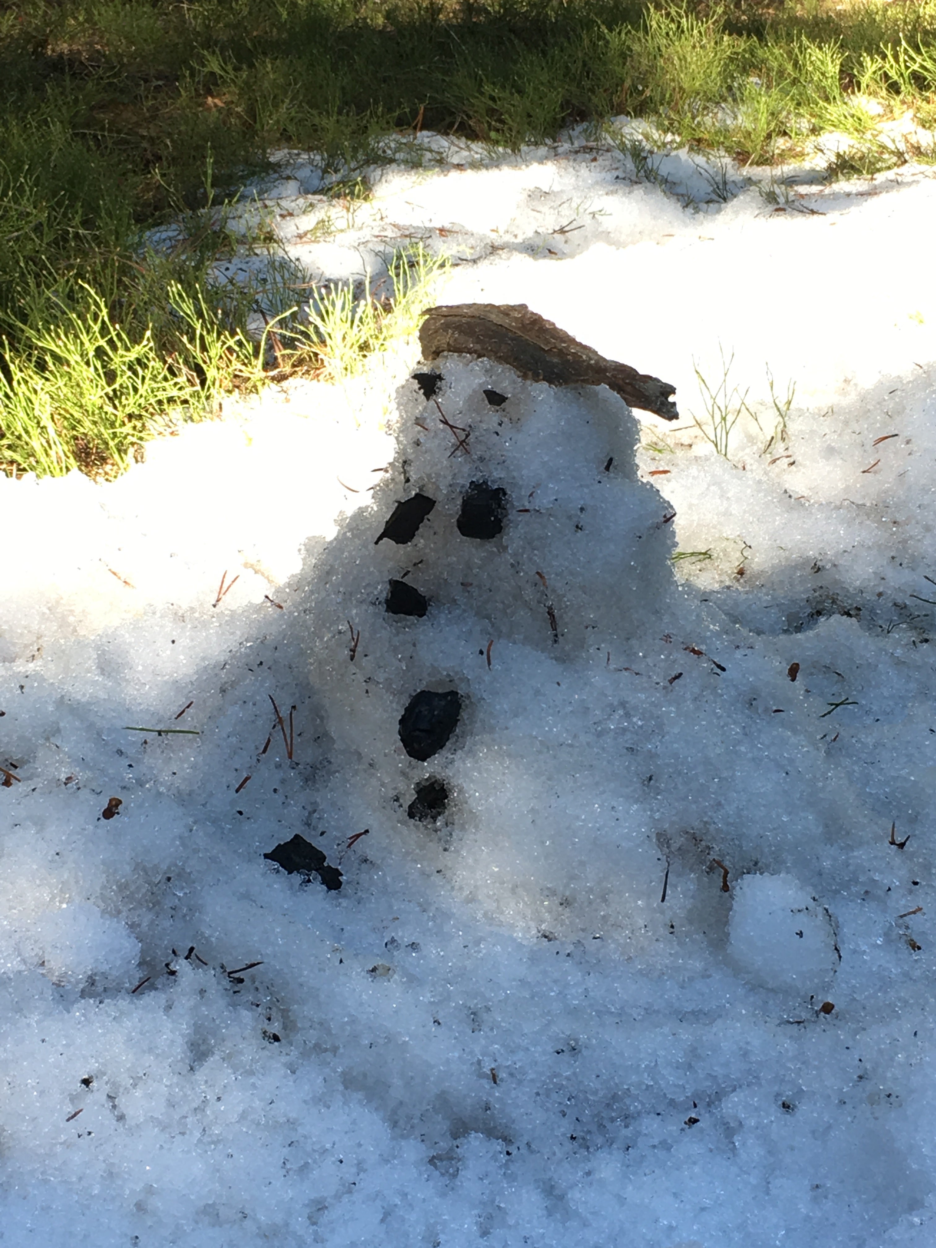 There was still some snow in one of the sites, so a snowman camped there