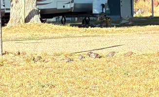 Greg K.'s photo of rv camping at Sunny Ridge RV Park near Murphy, ID