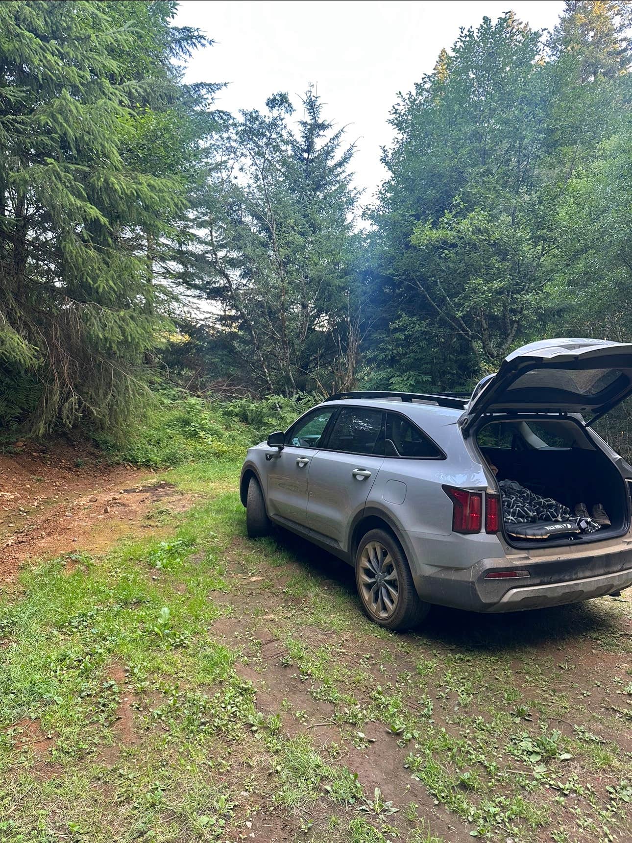 Camper-submitted photo at Hebo Road near Beaver, OR