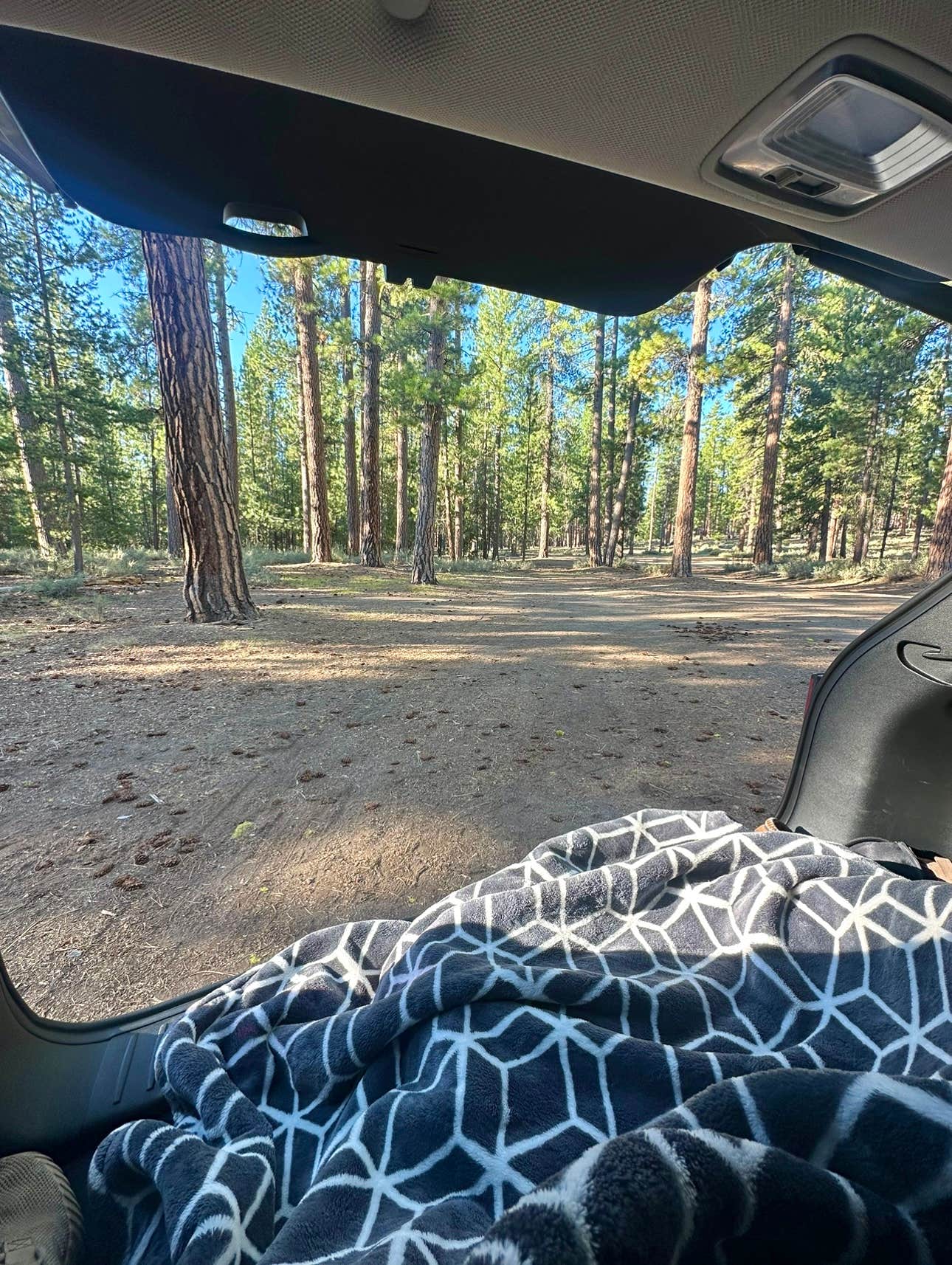 Camper-submitted photo at NF-70 Dispersed Camping Near Crater Lake NP near Crater Lake National Park
