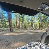 Review photo of NF-70 Dispersed Camping Near Crater Lake NP by Ashley L., August 24, 2025