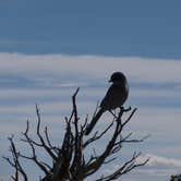 Review photo of Mather Campground — Grand Canyon National Park by Elliott B., September 23, 2016