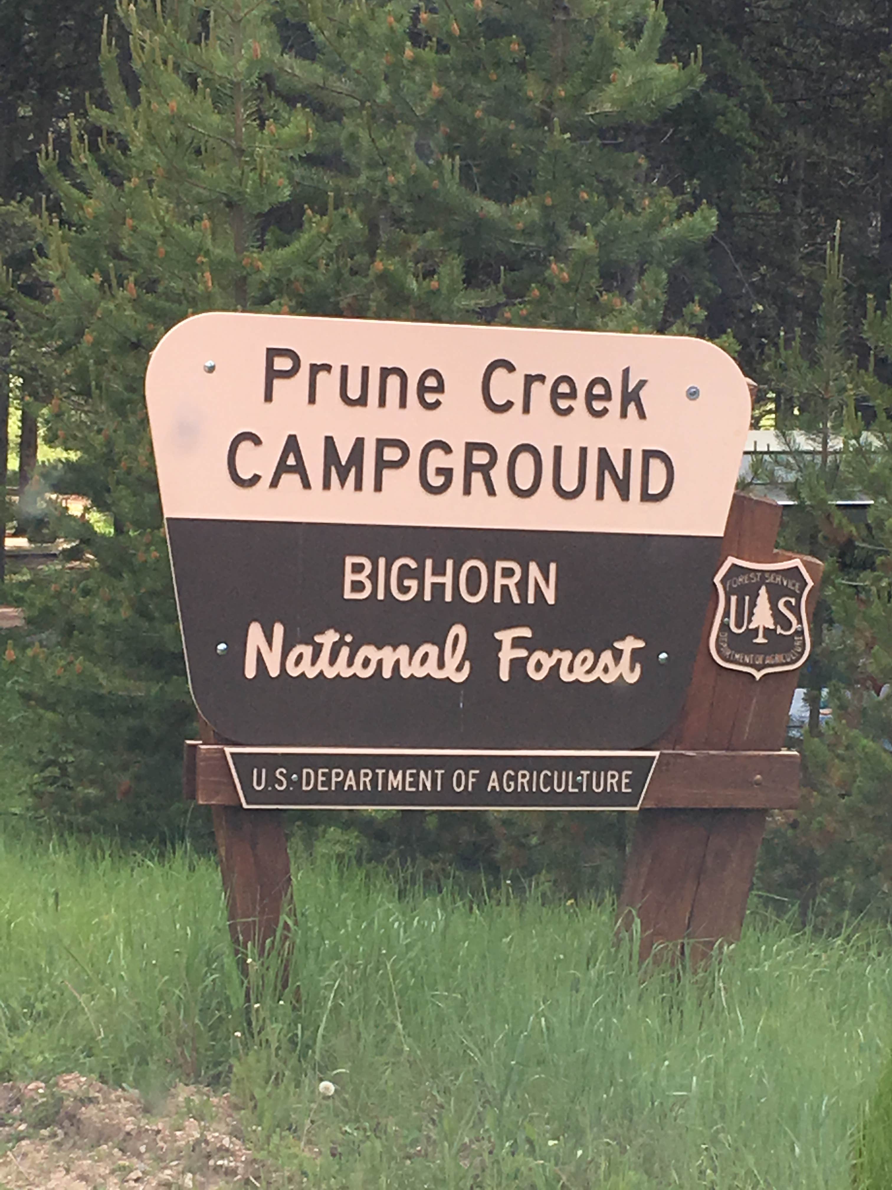 Camper submitted image from Prune Creek - 5