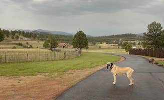 Maya K.'s photo of camping with pets at Peakview Pines RV Camping near Guffey, CO
