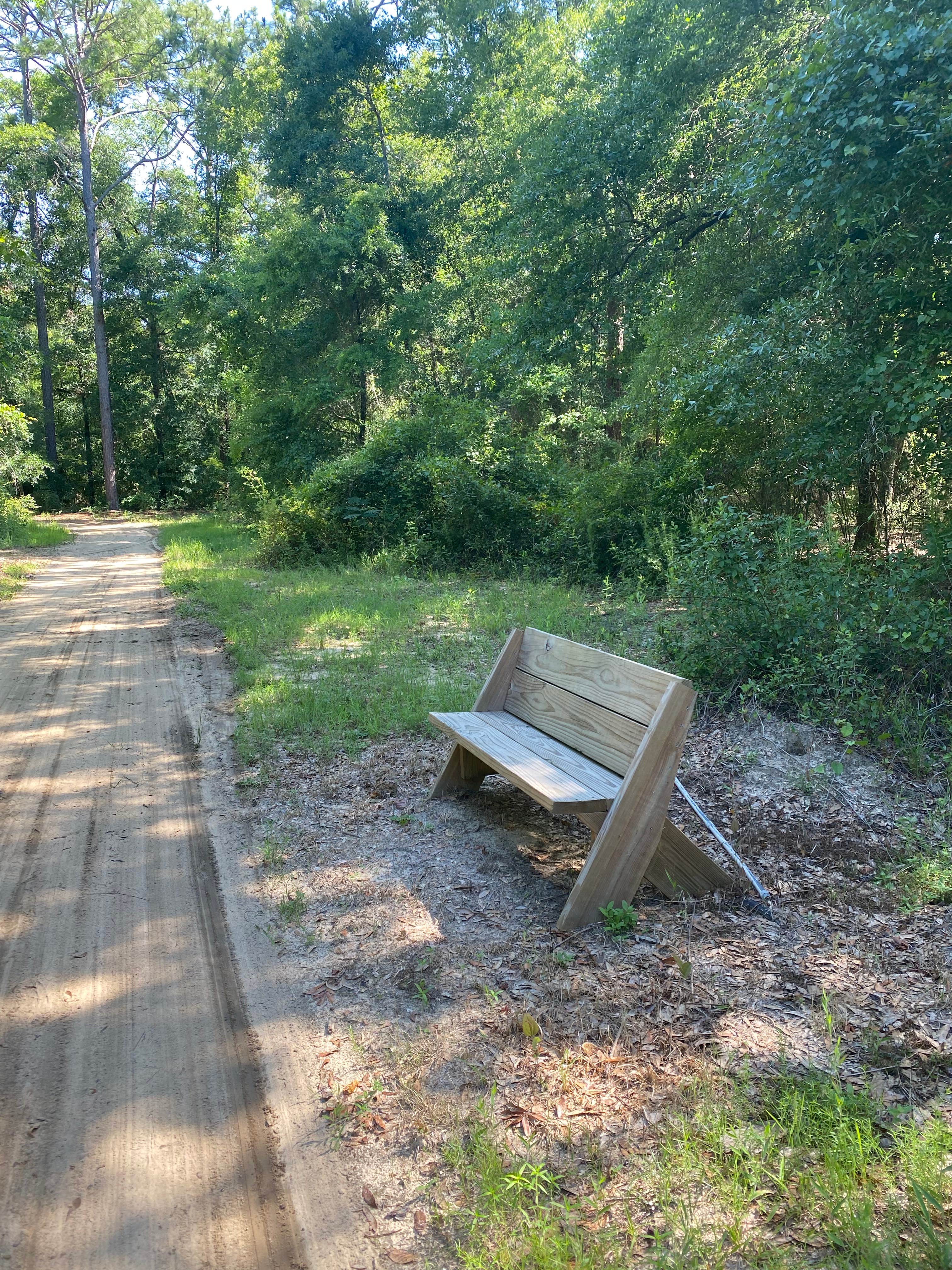 Camper submitted image from Gateway Trails - 2