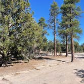 Review photo of Desert Pass Campground by Ryan F., August 27, 2025
