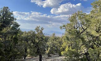 Ryan F.'s photo of a dispersed camping area at Mack's Canyon Dispersed Camping in Nevada