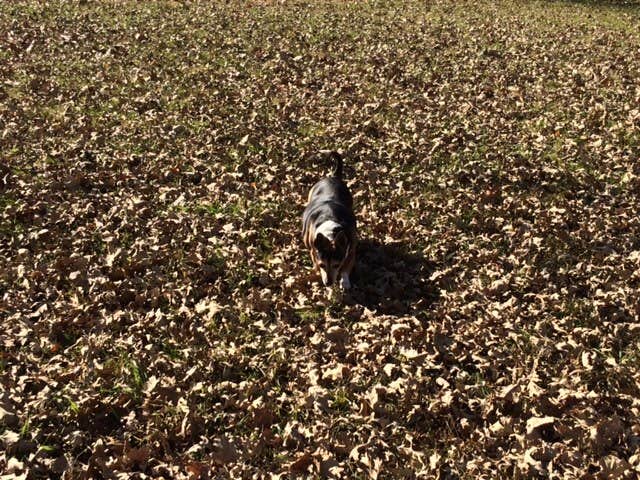 Camper-submitted photo at Sabetha Lake near Du Bois, NE