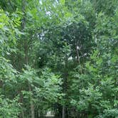Review photo of Bear Paw Campground — Itasca State Park by Cynthia K., August 27, 2025