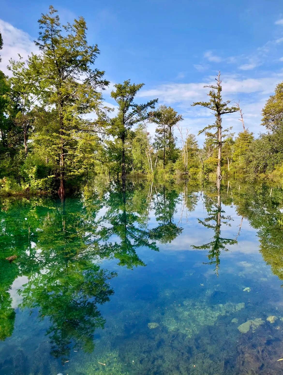 Blue Springs Private Campsite