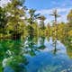 Blue Springs Private Campsite