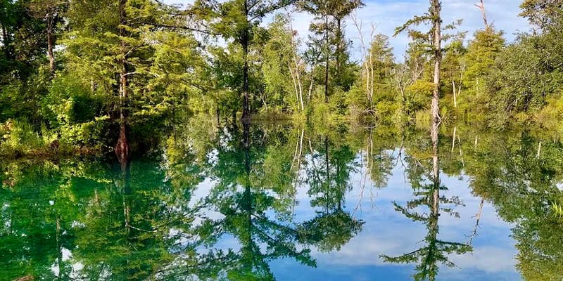 Camper submitted image from Blue Springs Private Campsite