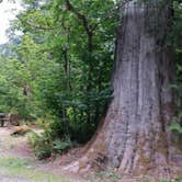 Review photo of Bedal Campground by Douglas S., August 1, 2019