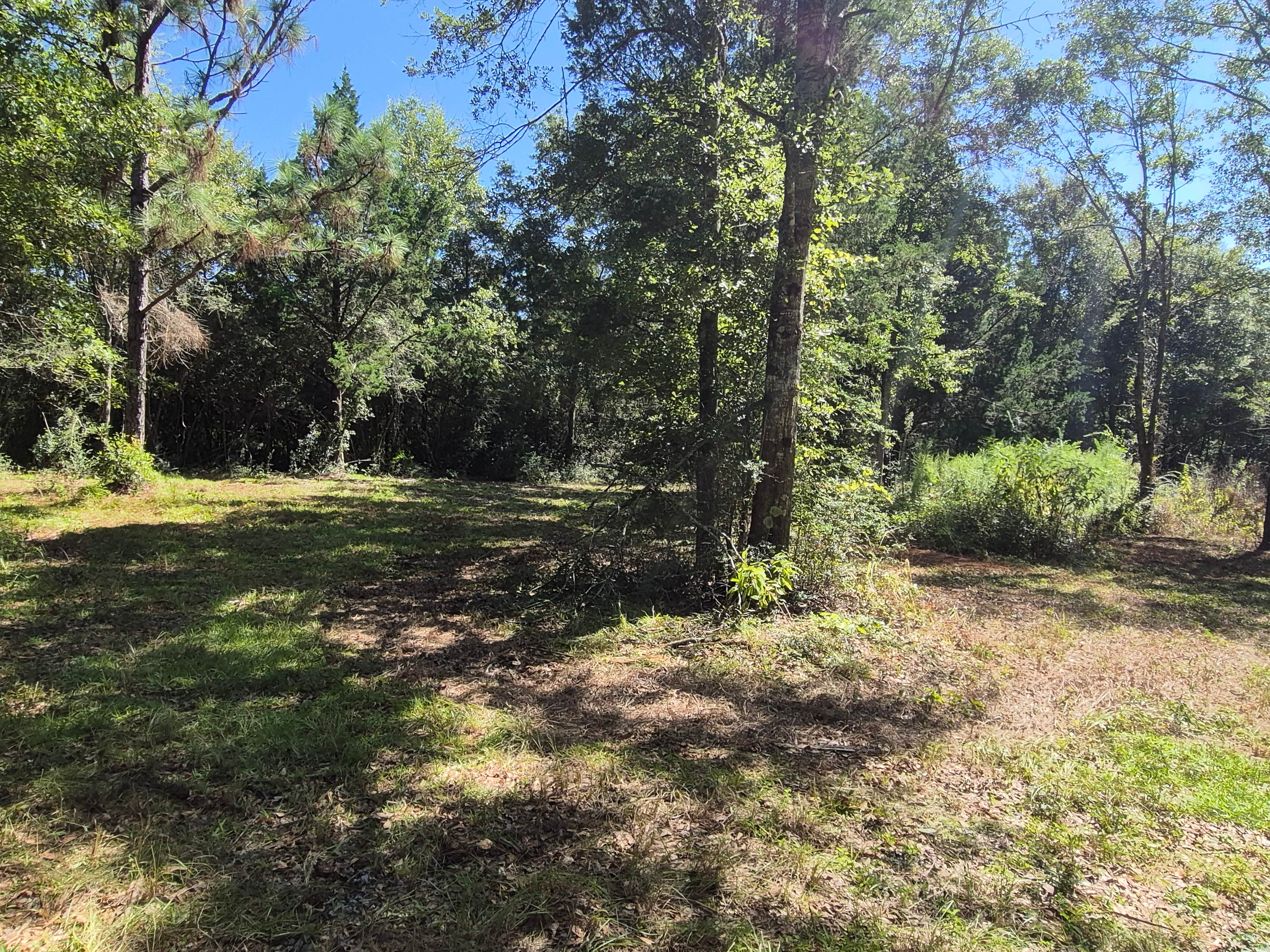 Camper submitted image from Gateswood GetAway - 2