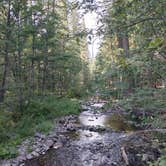 Review photo of North Fork Campground by Matthew C., August 28, 2025