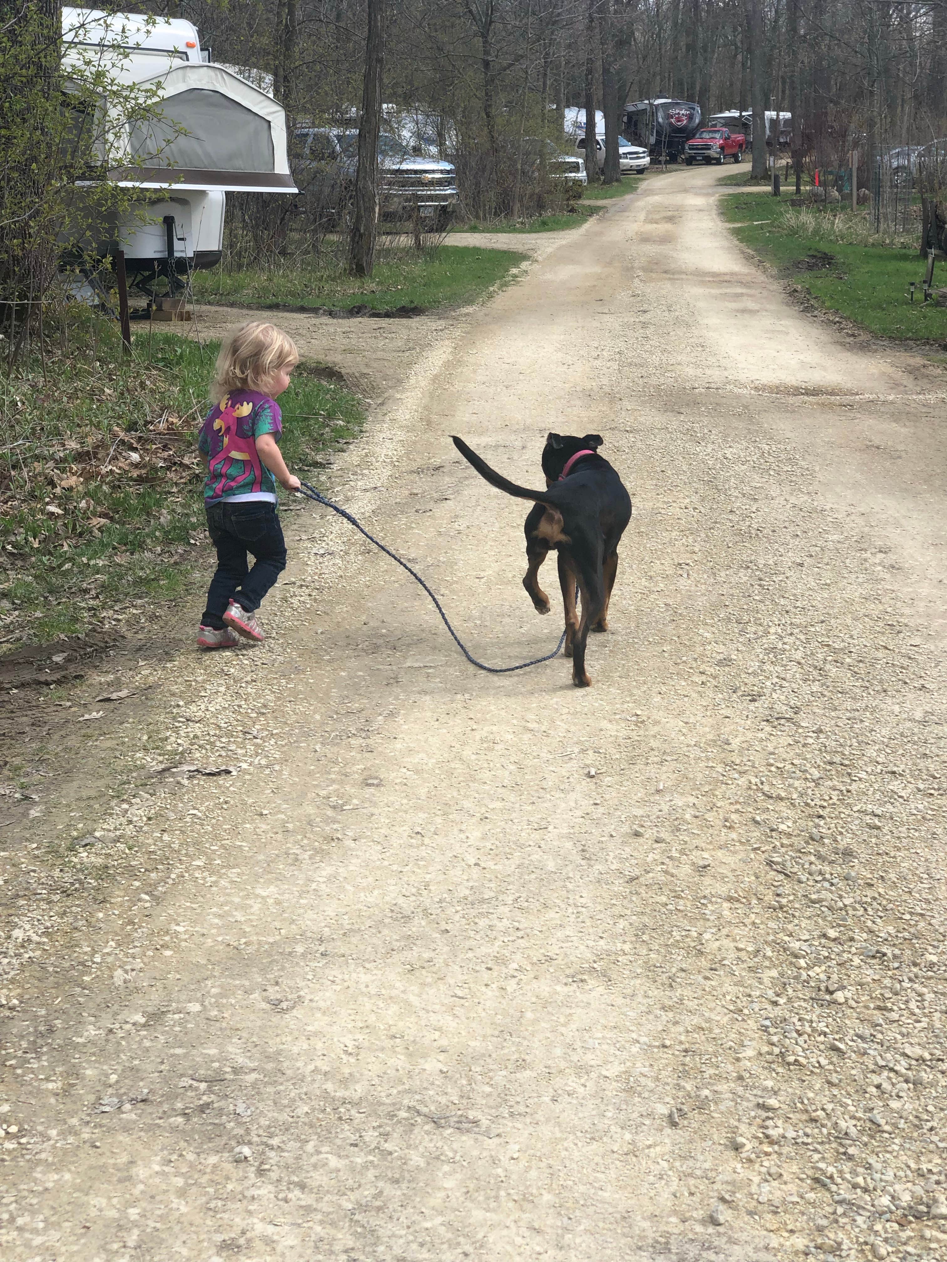 Allison  K.'s photo of camping with pets at Nerstrand Big Woods State Park Campground near Apple Valley, MN