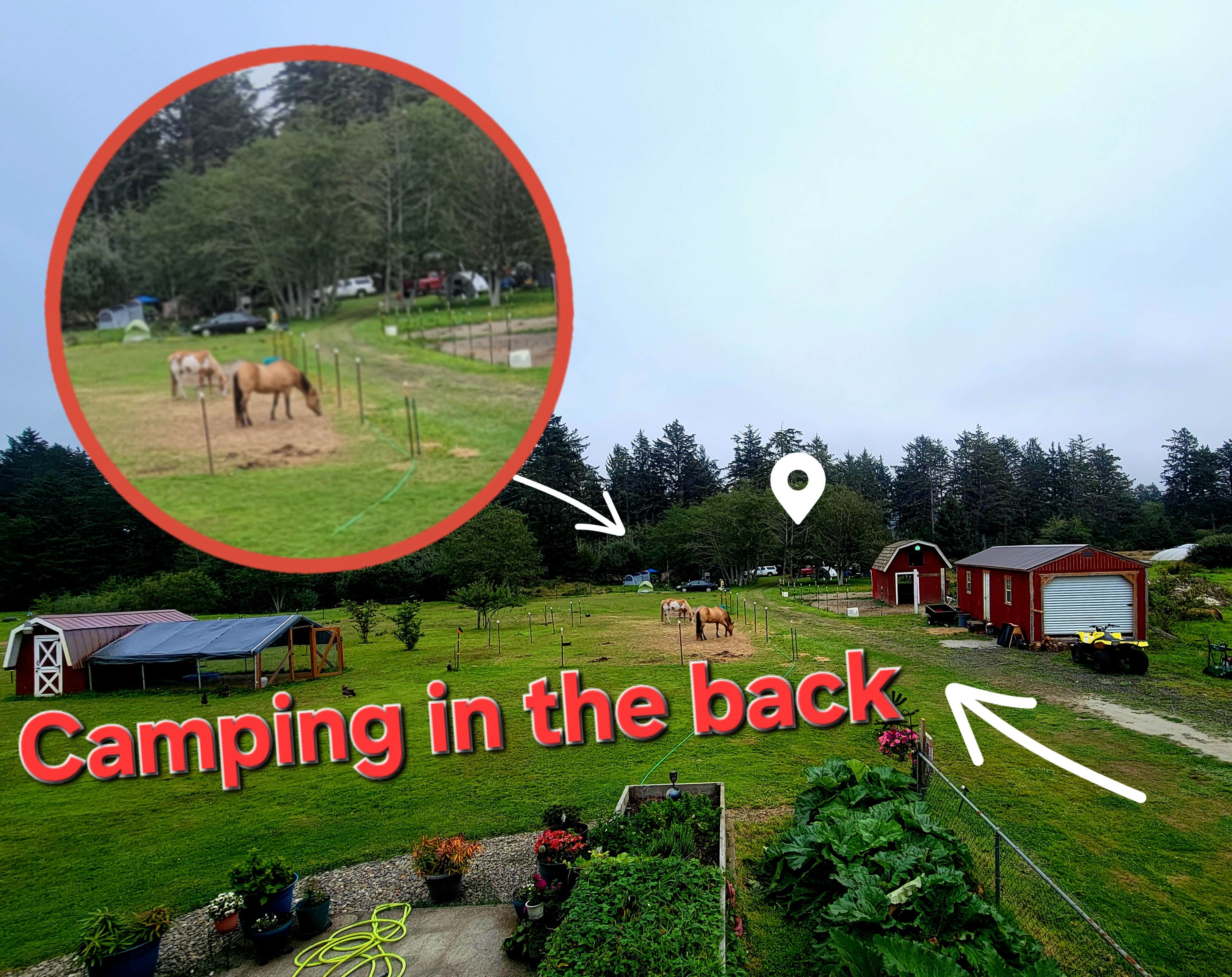 Camper submitted image from Beach Bums Camp N Ranch - 1