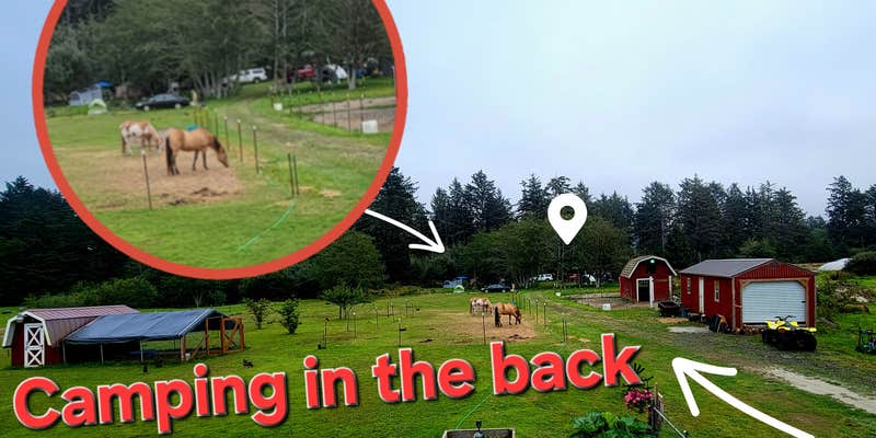 Camper submitted image from Beach Bums Camp N Ranch