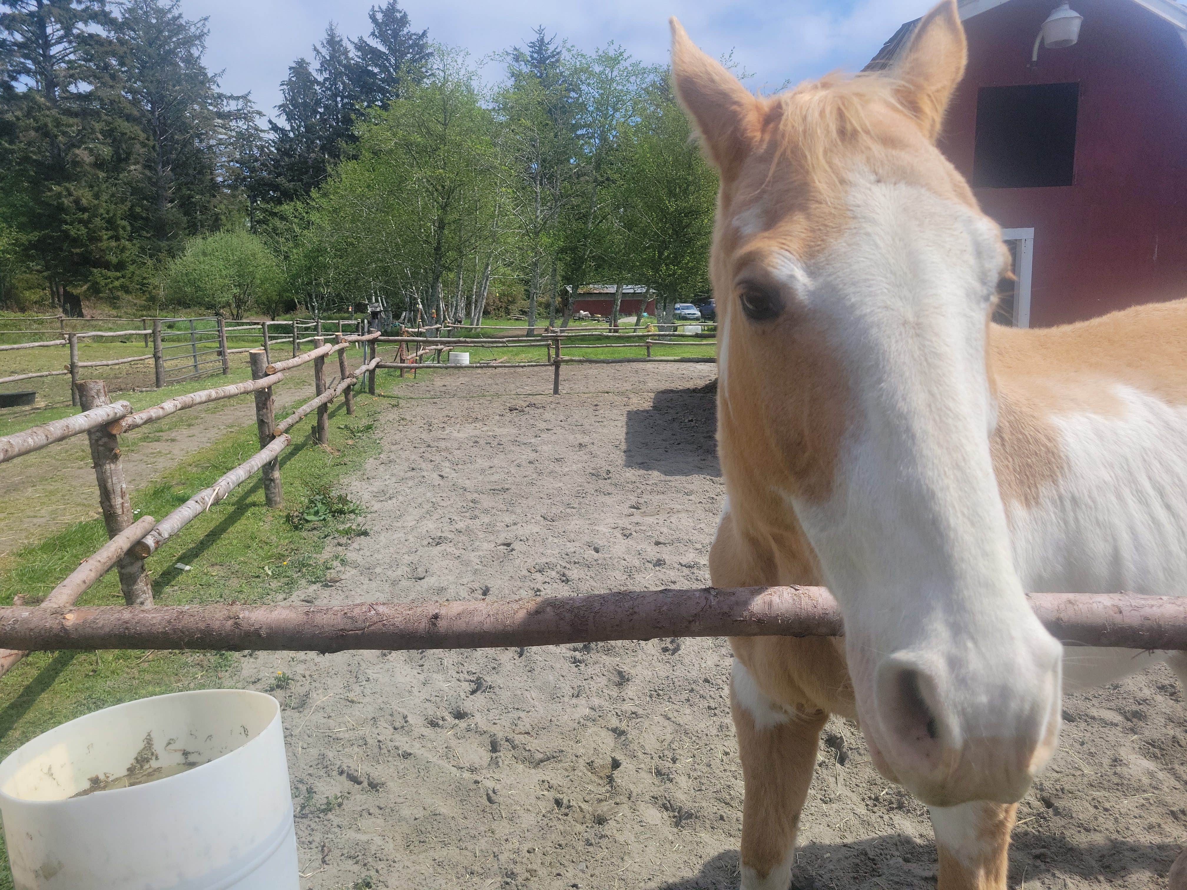 Camper-submitted photo at Beach Bums Camp N Ranch near Westport, WA