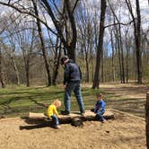 Review photo of Nerstrand Big Woods State Park Campground by Allison  K., August 1, 2019