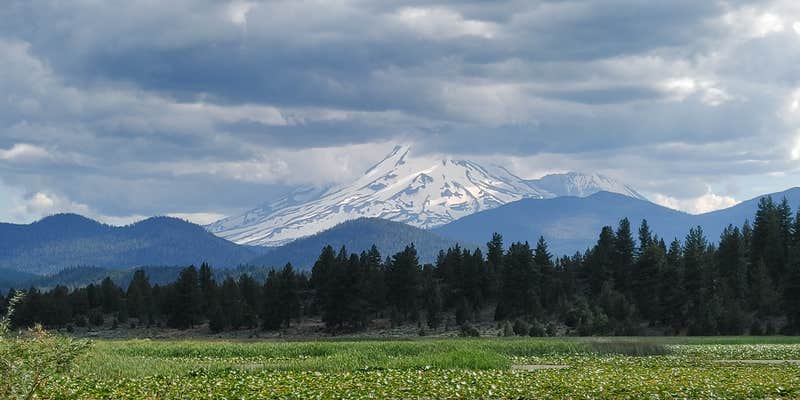 Camper submitted image from Orr Lake Campground