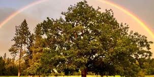 Camper submitted image from Applegate River Golf & RV Resort