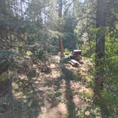 Review photo of Algoma Campground by Matthew C., August 29, 2025