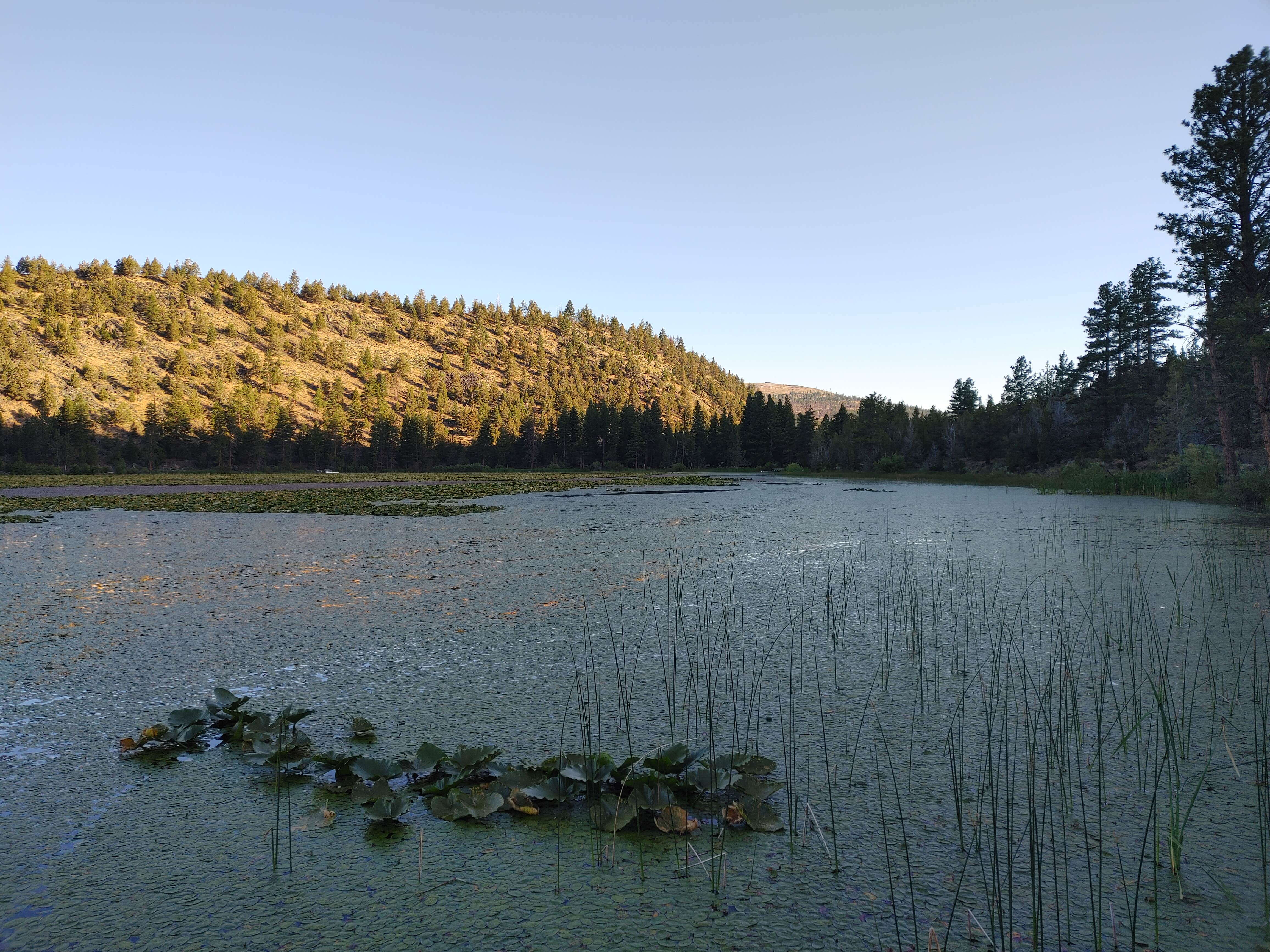 Camper-submitted photo at Klamath National Forest Orr Lake Campground near Macdoel, CA