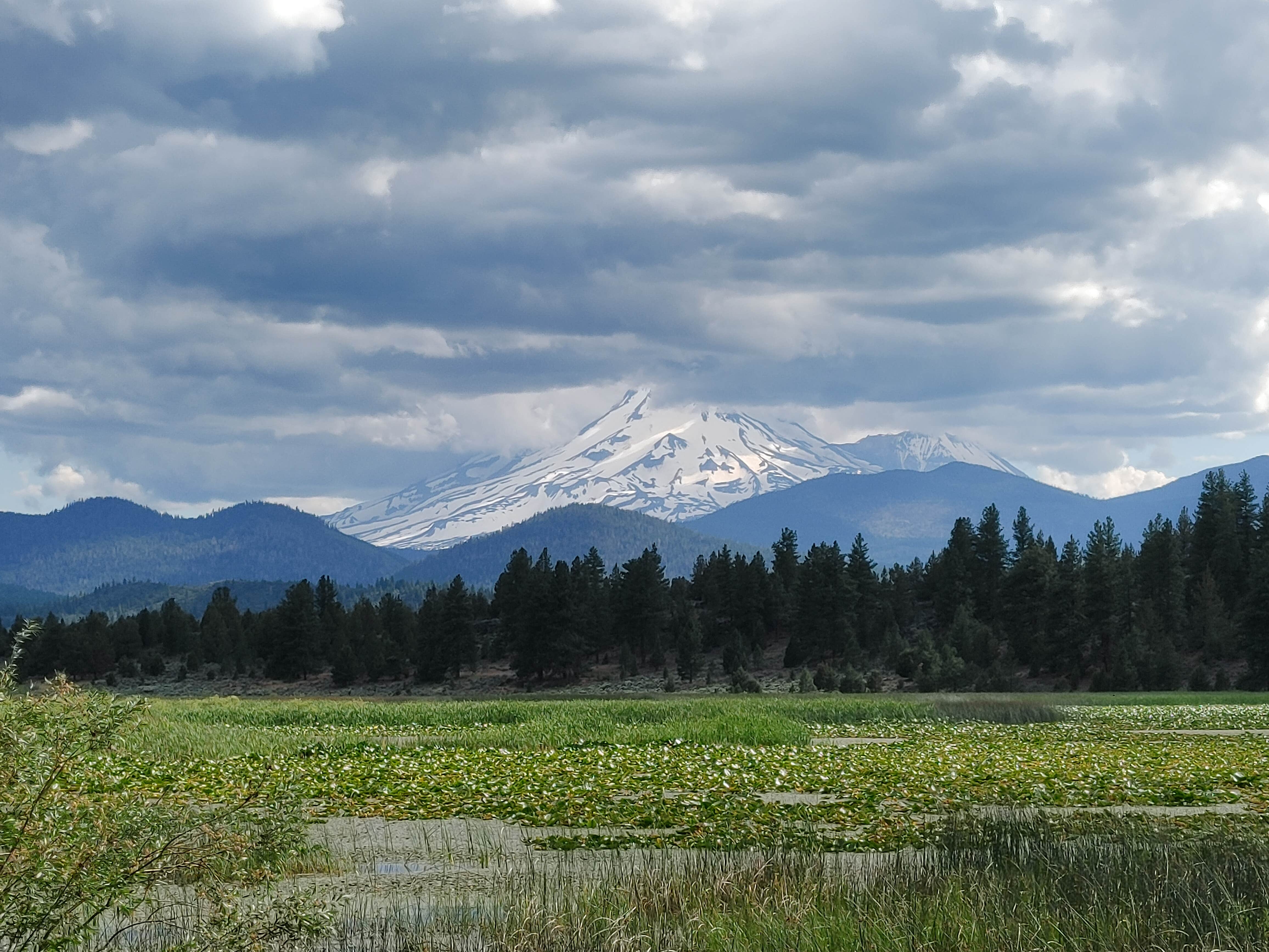 Camper submitted image from Klamath National Forest Orr Lake Campground - 1