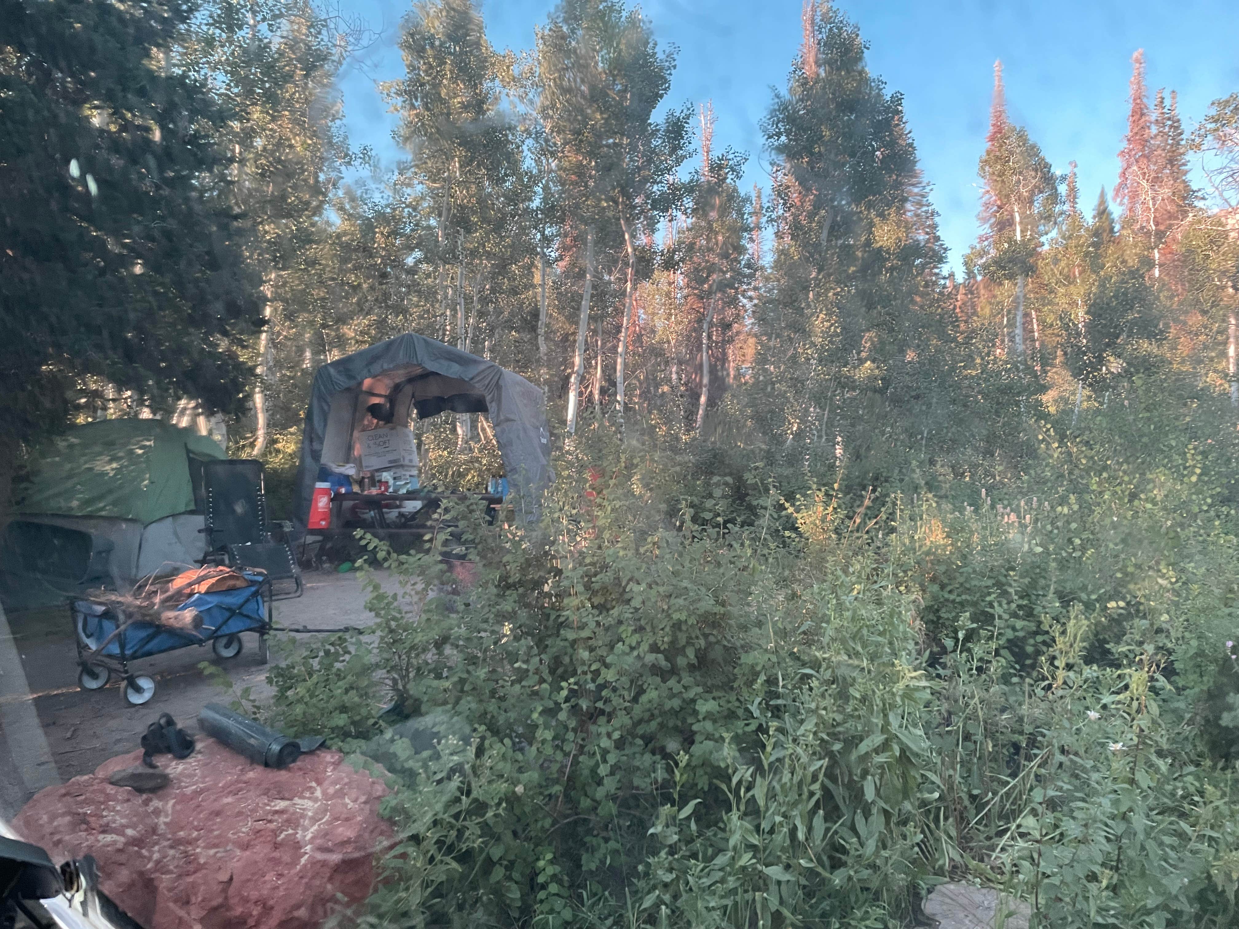 Camper-submitted photo at Bountiful Peak Campground near Kaysville, UT