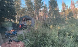 Douglas L.'s photo at Bountiful Peak Campground near Salt Lake City, UT