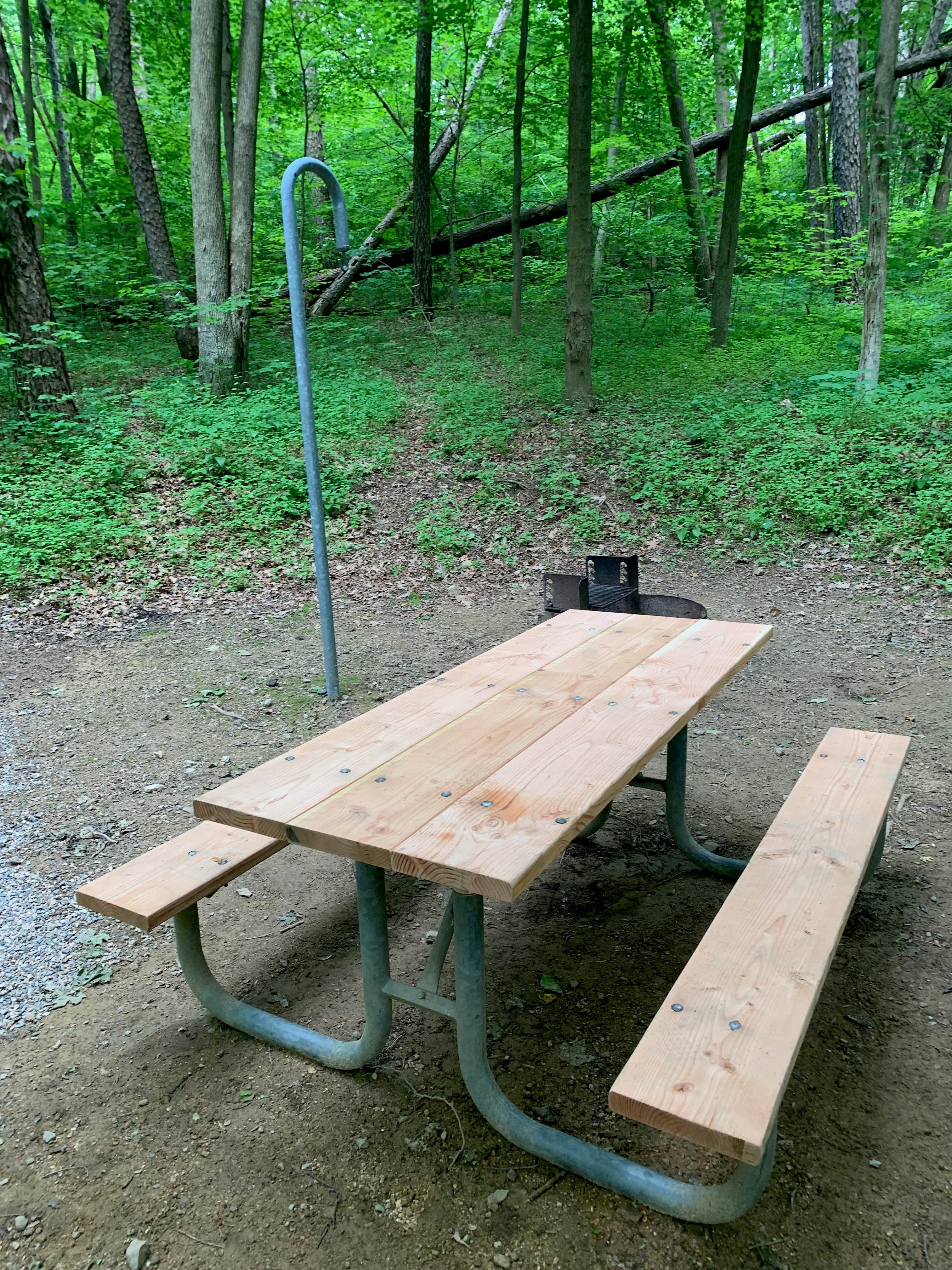 Camper-submitted photo at Jenny Jump State Forest near Tobyhanna, PA