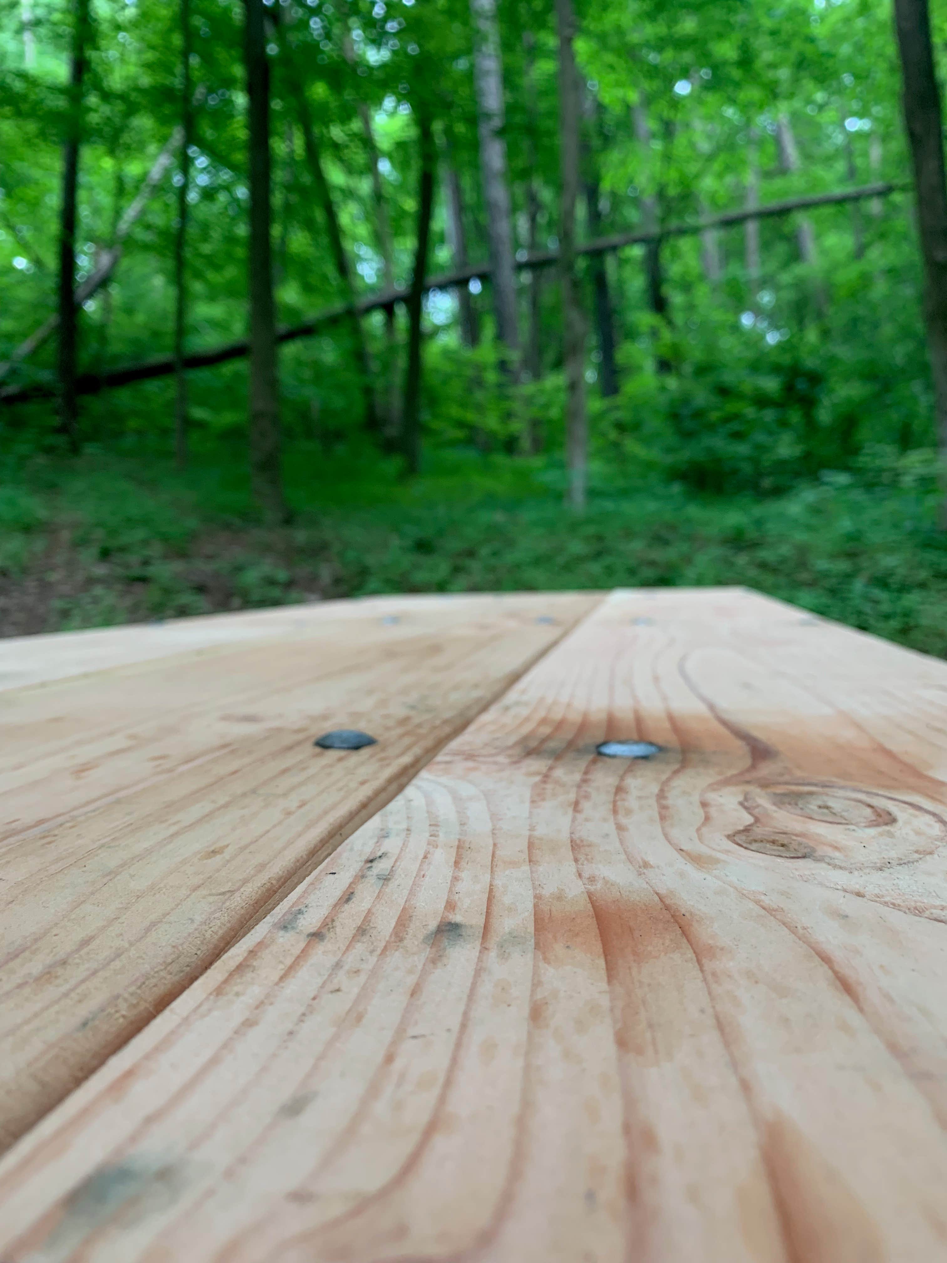 Jenny Jump State Forest Camping | Blairstown, NJ