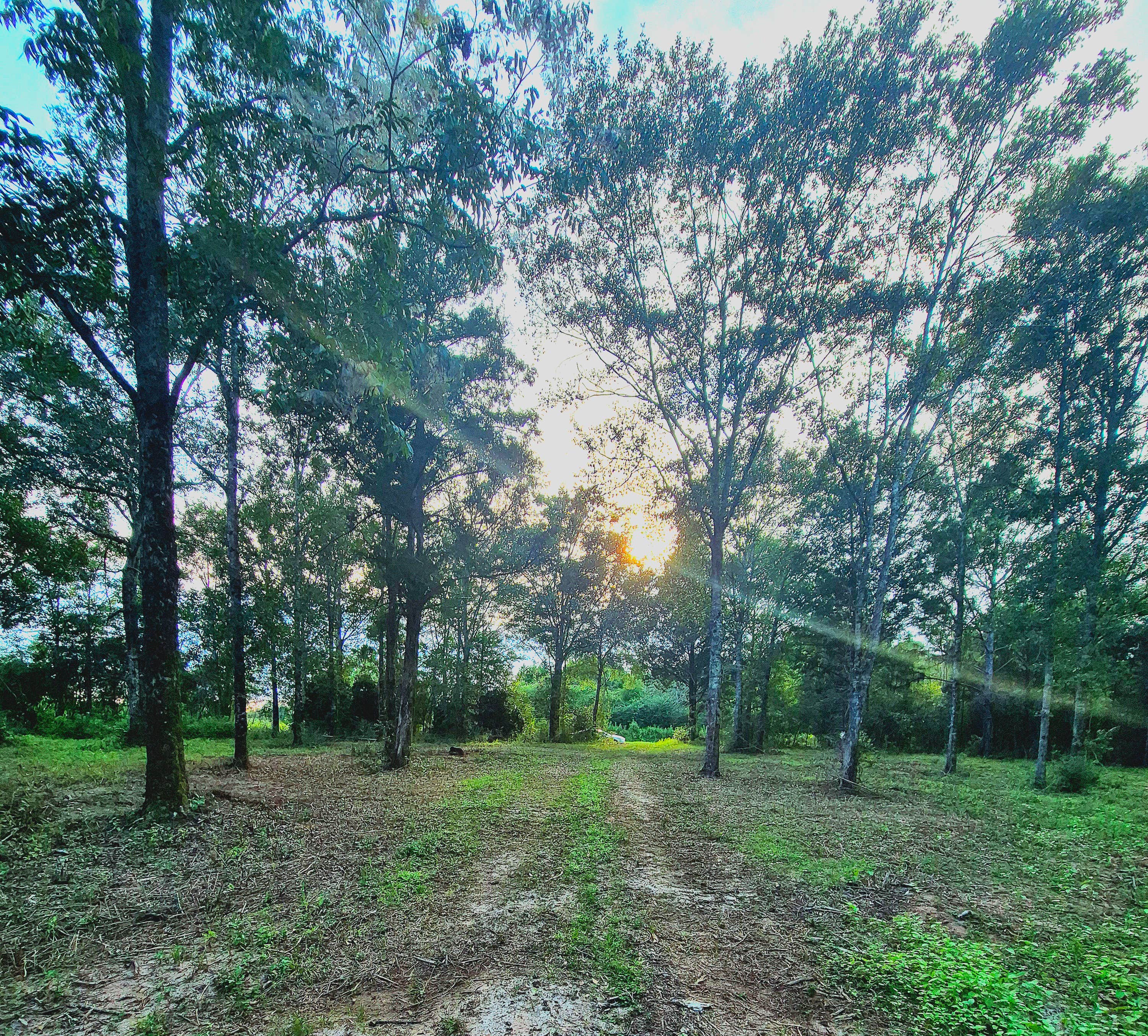 Camper submitted image from Gateswood GetAway - 1