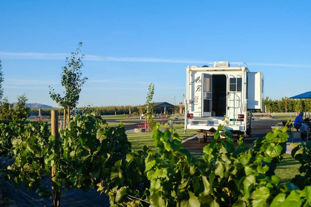 Camper submitted image from The Park at Lone Point Cellars - 2