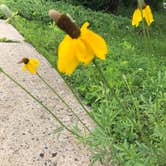 Review photo of Yellow Medicine River Campground — Upper Sioux Agency State Park - PERMANENTLY CLOSED by Allison  K., August 1, 2019