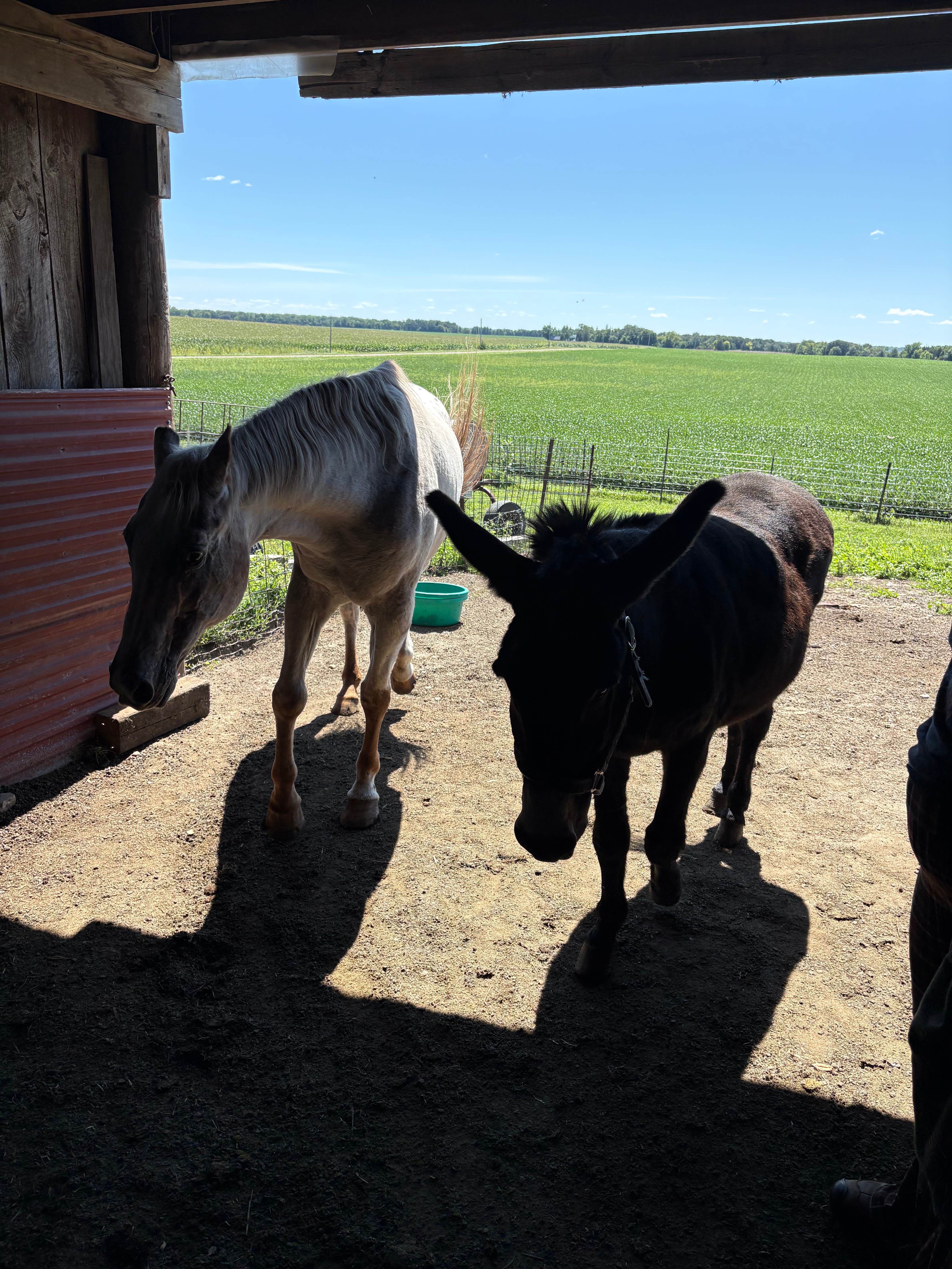 Camper submitted image from Minnesota River Valley Sanctuary - 1