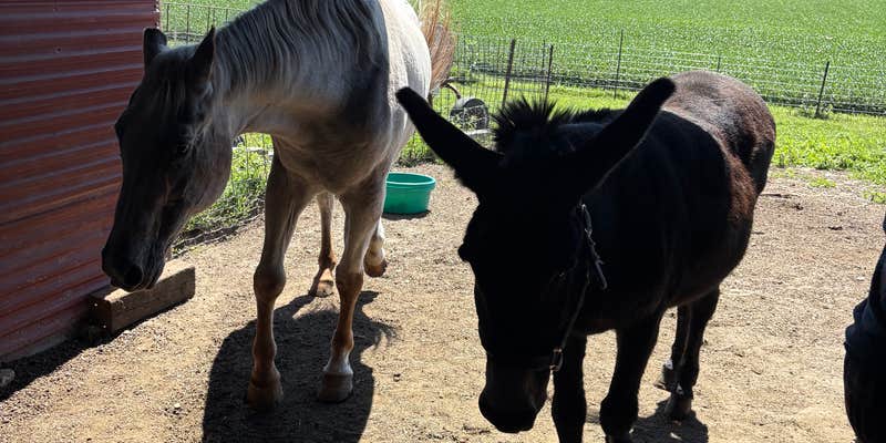 Camper submitted image from Minnesota River Valley Sanctuary