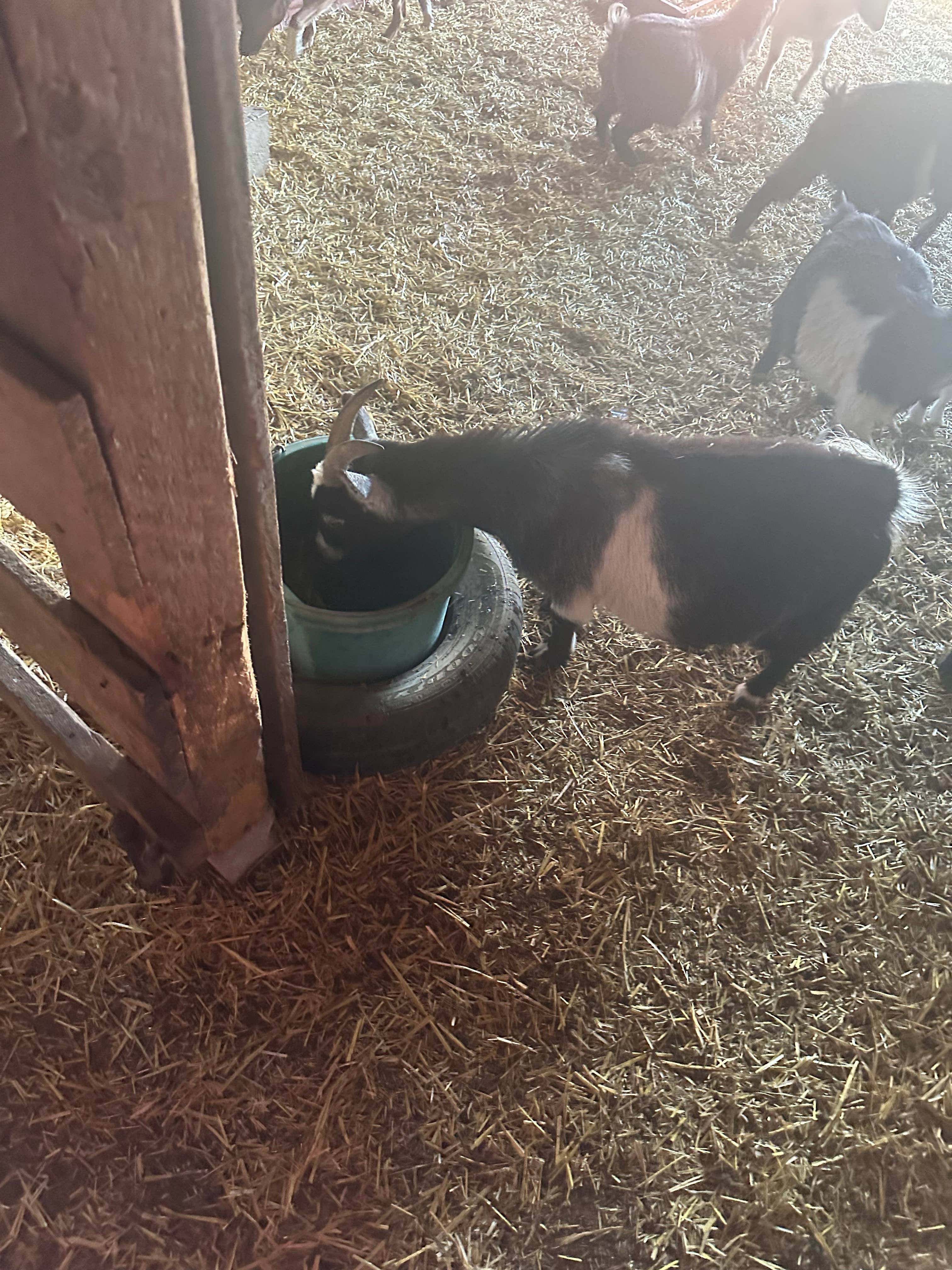 Camper submitted image from Minnesota River Valley Sanctuary - 2