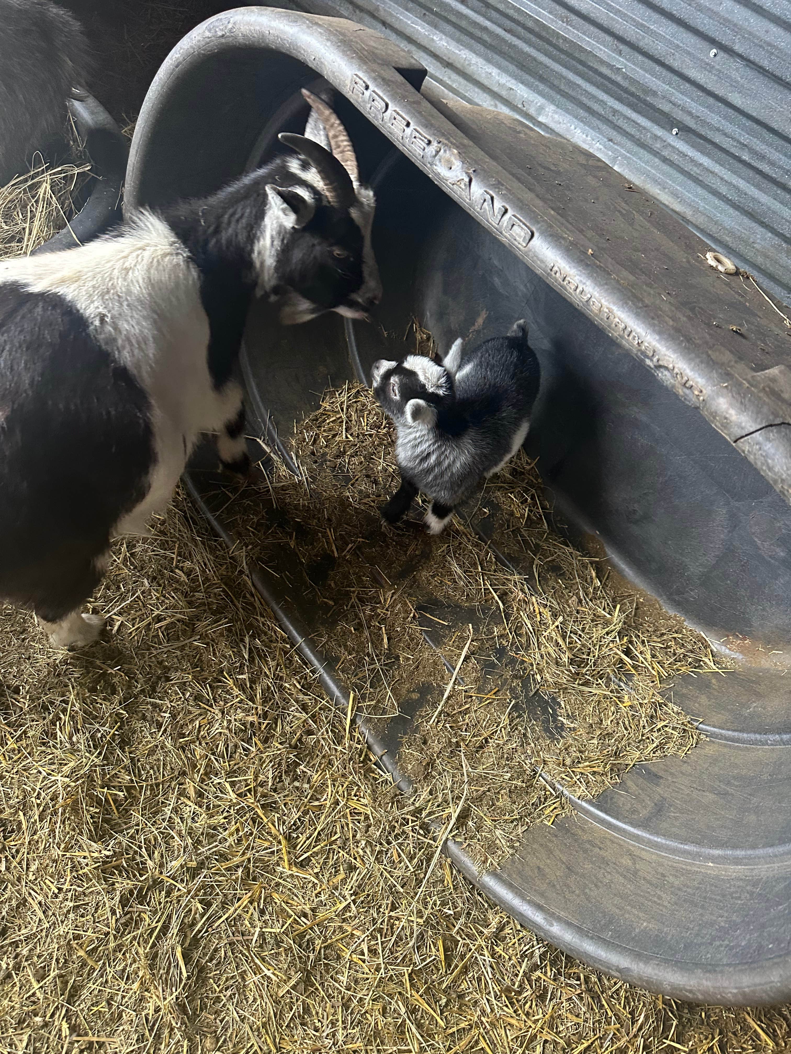 Camper-submitted photo at Minnesota River Valley Sanctuary near Comfrey, MN