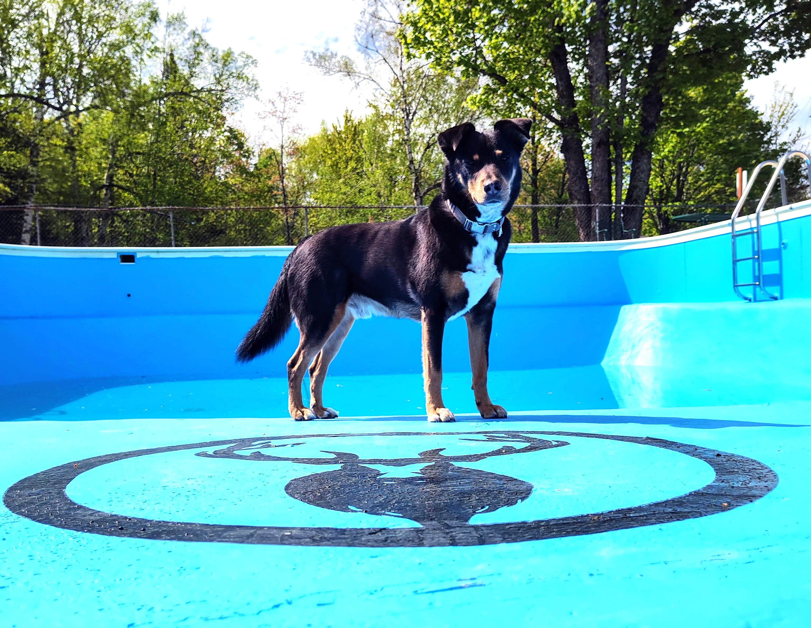 Camper-submitted photo at Elkwood Campground near Gaylord, MI