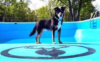 Colleen F.'s photo of camping with pets at Elkwood Campground near Rogers City, MI