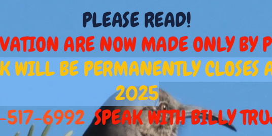 Camper submitted image from Bosque Birdwatchers RV Park