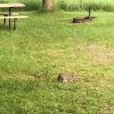 Review photo of Yellow Medicine River Campground — Upper Sioux Agency State Park - PERMANENTLY CLOSED by Allison  K., August 1, 2019