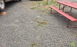 Susan O.'s photo of rv camping at Mt. St. Helens RV Park near Rainier, OR