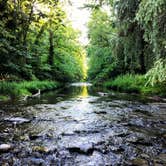 Review photo of Blueberry Patch Campground — Green Mountain & Finger Lakes National Forests by Kate K., August 1, 2019