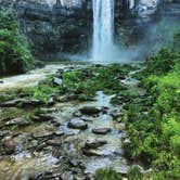 Review photo of Blueberry Patch Campground — Green Mountain & Finger Lakes National Forests by Kate K., August 1, 2019